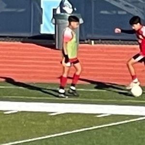 Meet your Posher, Chester